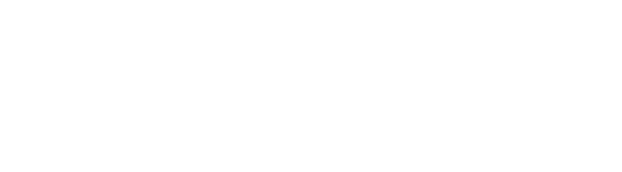 Partner - Beyond Insurance Global Network White Small